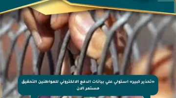 «تحذير كبير» استولى علي بيانات الدفع الإلكتروني للمواطنين التحقيق مستمر الآن